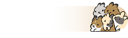 IP